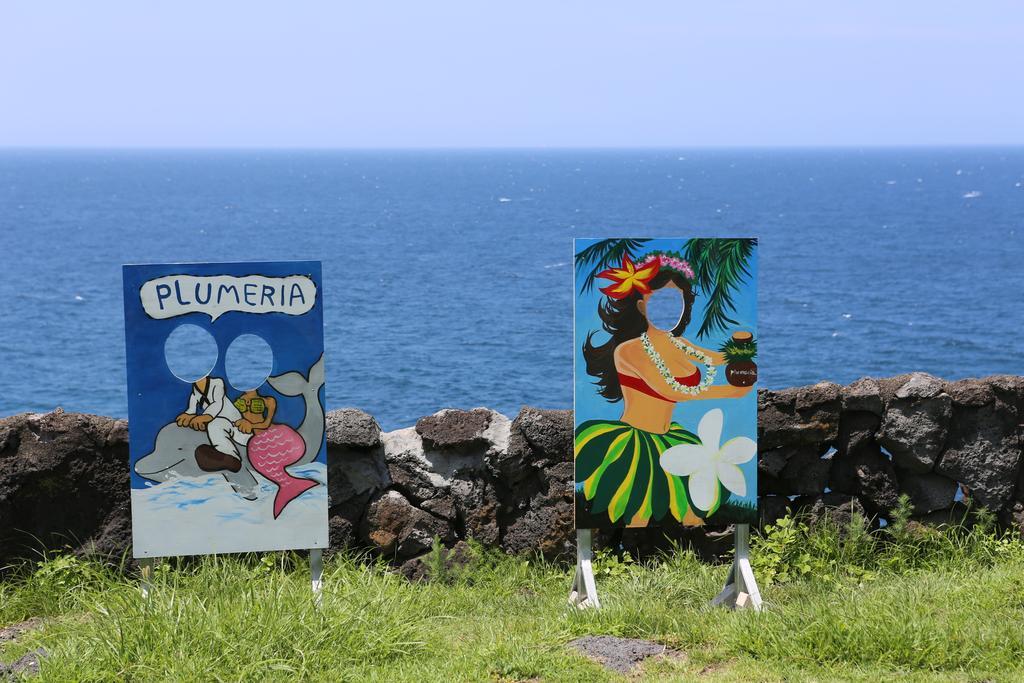 Plumeria Pension 済州市 エクステリア 写真